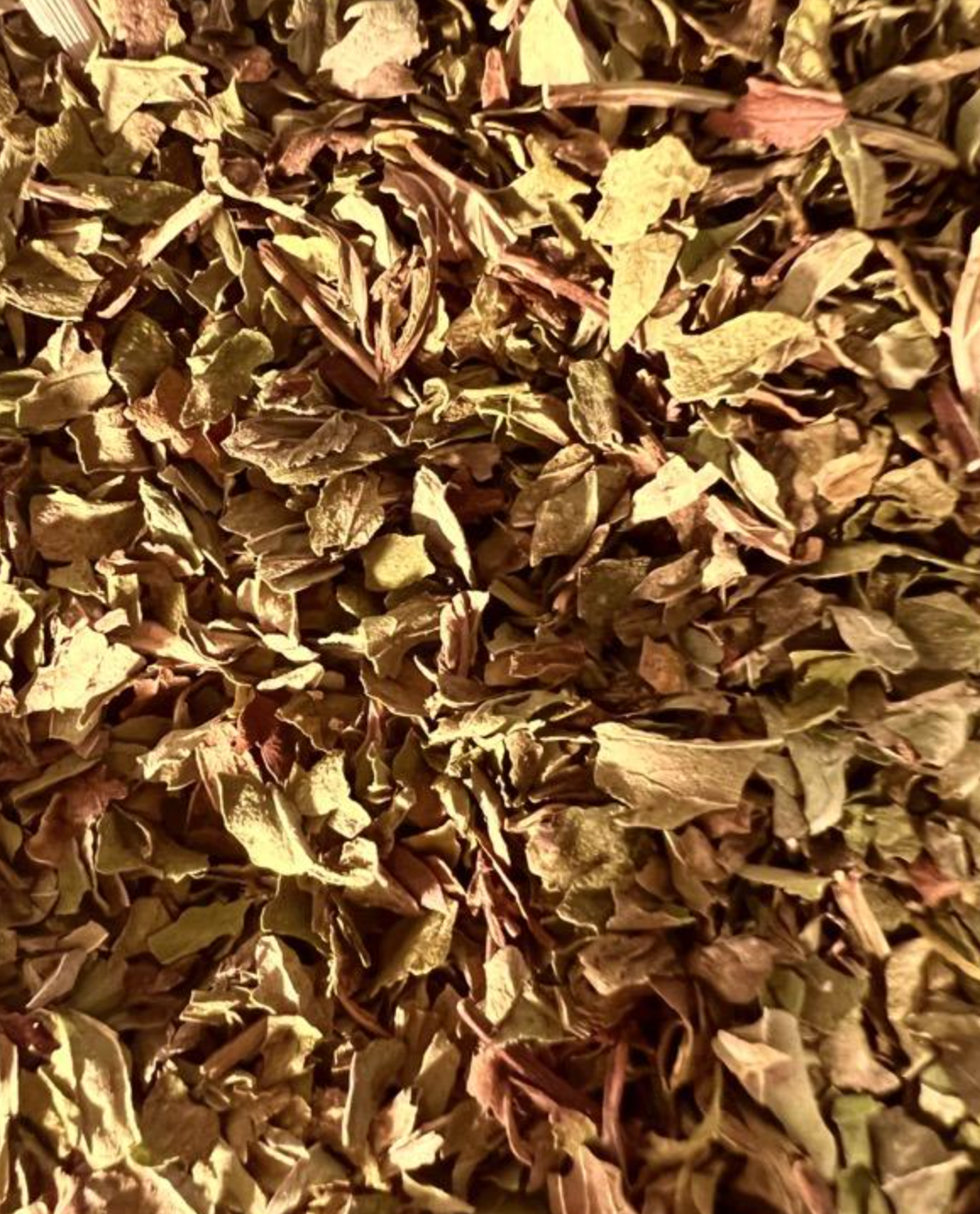 Peppermint Leaf