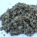 Red Raspberry Leaf