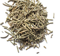 Rosemary