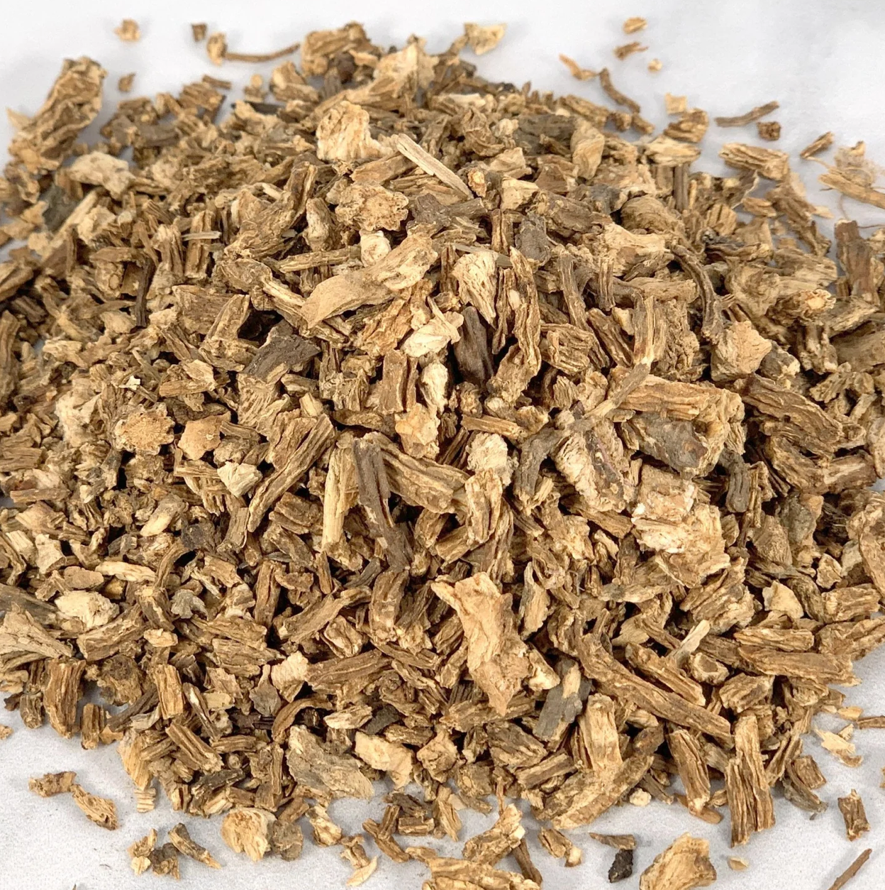 Angelica Root