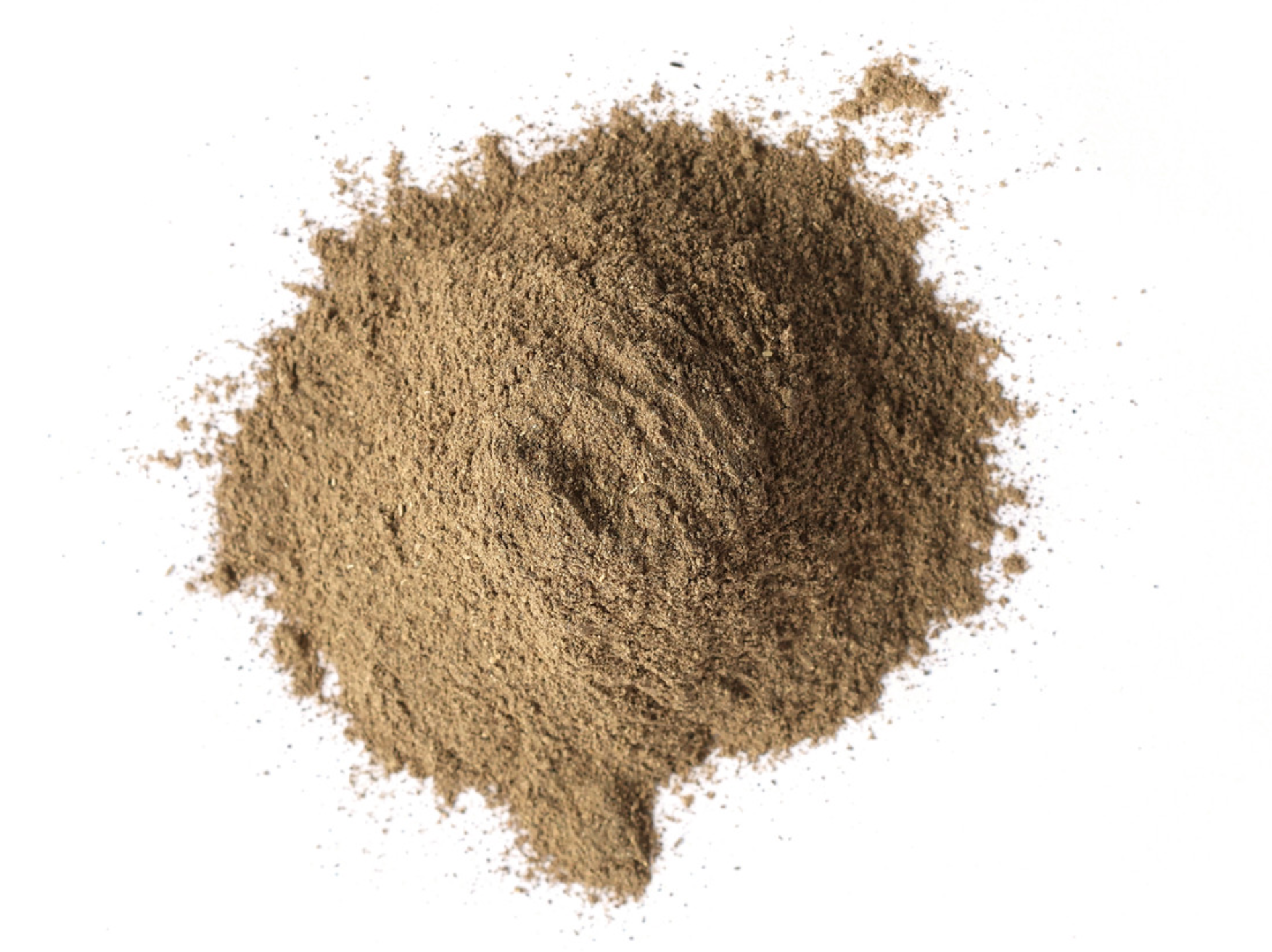 Black Cohosh Root