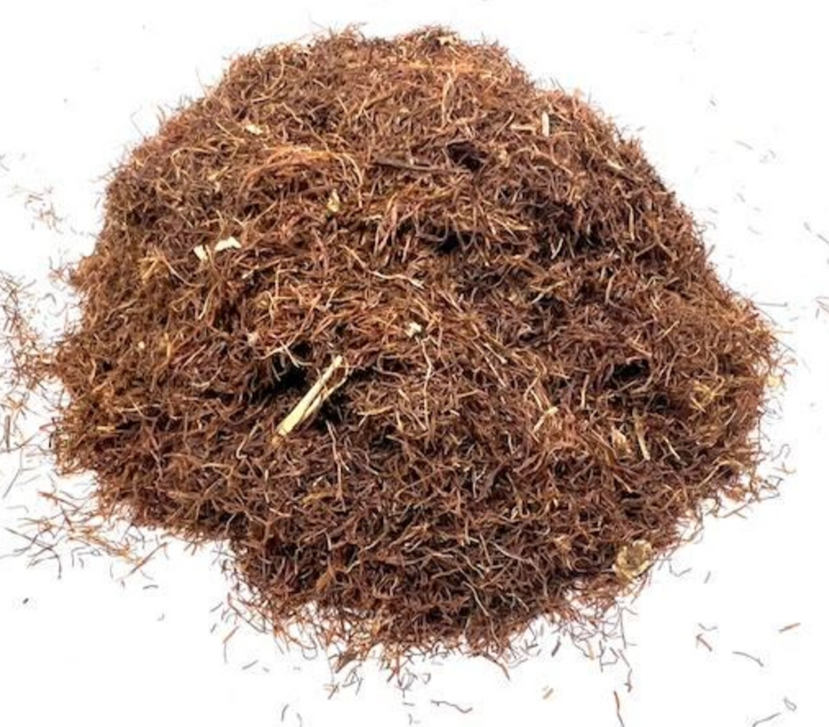 Cornsilk