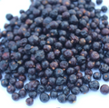 Juniper Berries