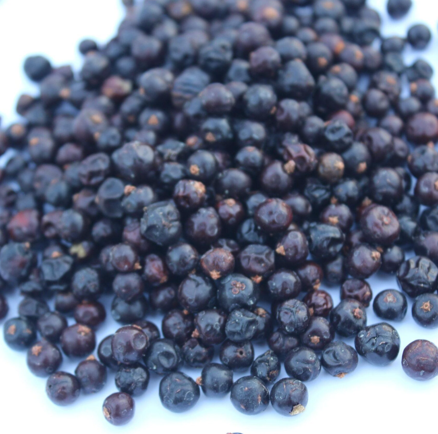 Juniper Berries