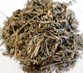 Mugwort