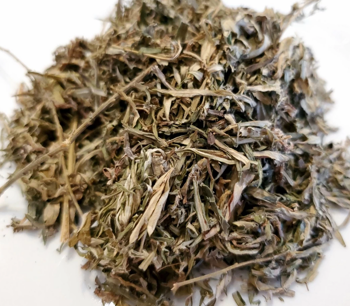 Mugwort