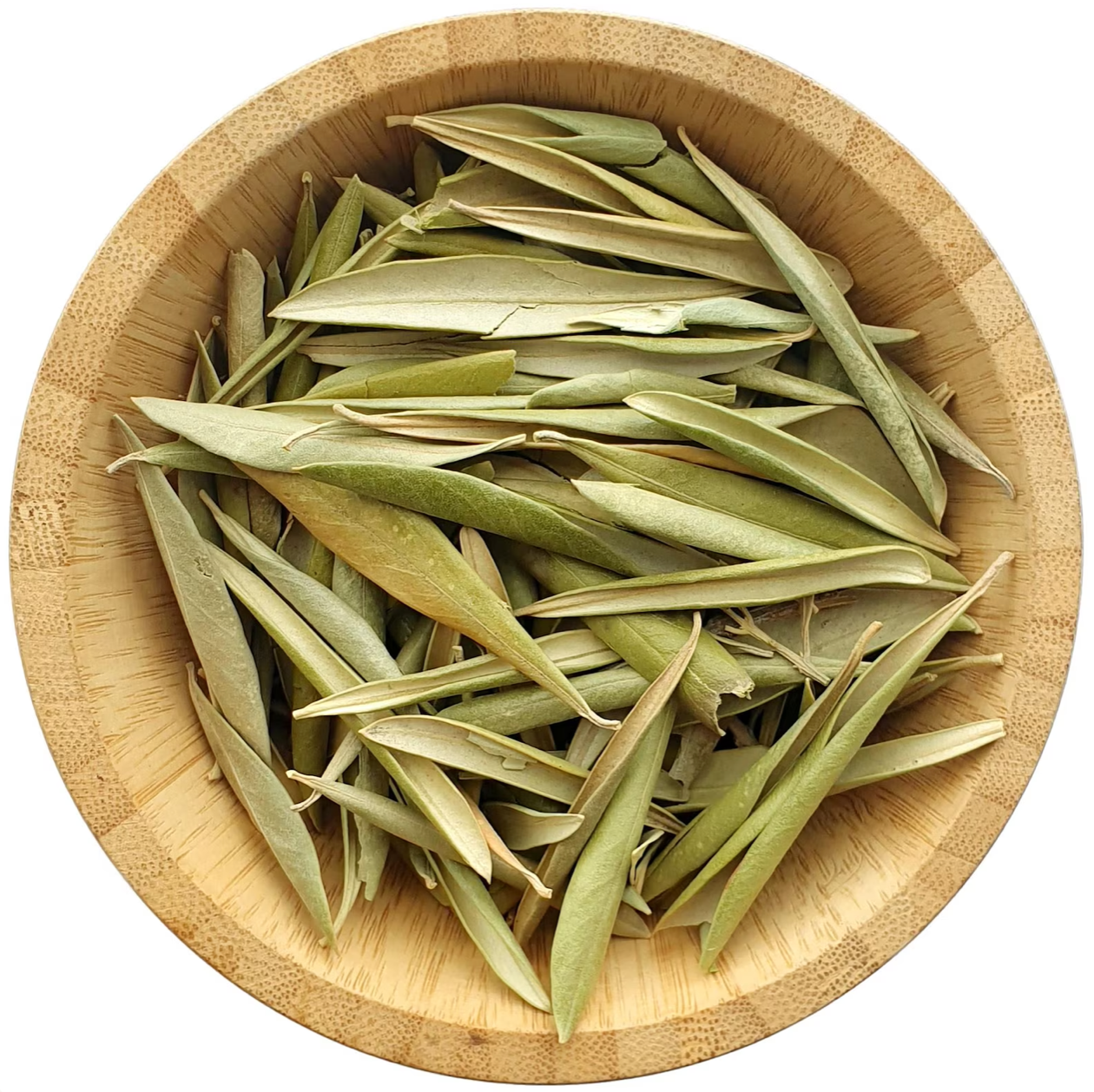 Olive Leaf