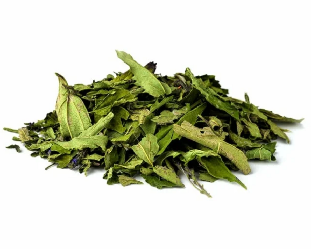 Vervain