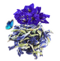Butterfly Pea Flower