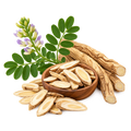 Astragalus Root