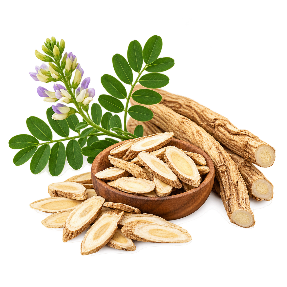 Astragalus Root