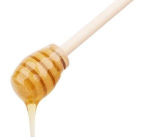 Bamboo Honey Dipper
