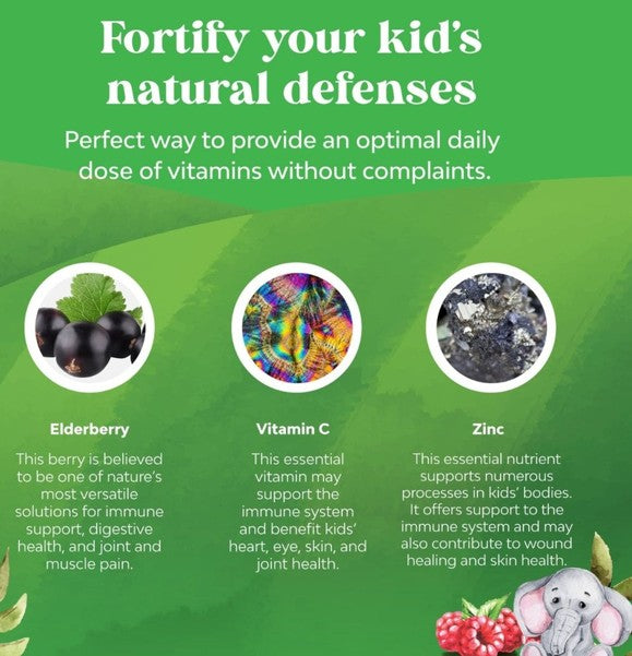 Nature's Craft Elderberry Zinc & Vitamin C Gummies – Kids’ Immunity Support 30ct